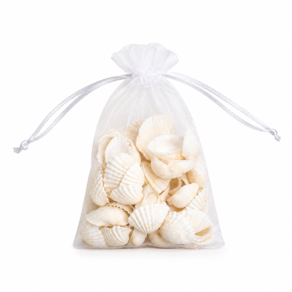 Conchas de mar - Imagen 2