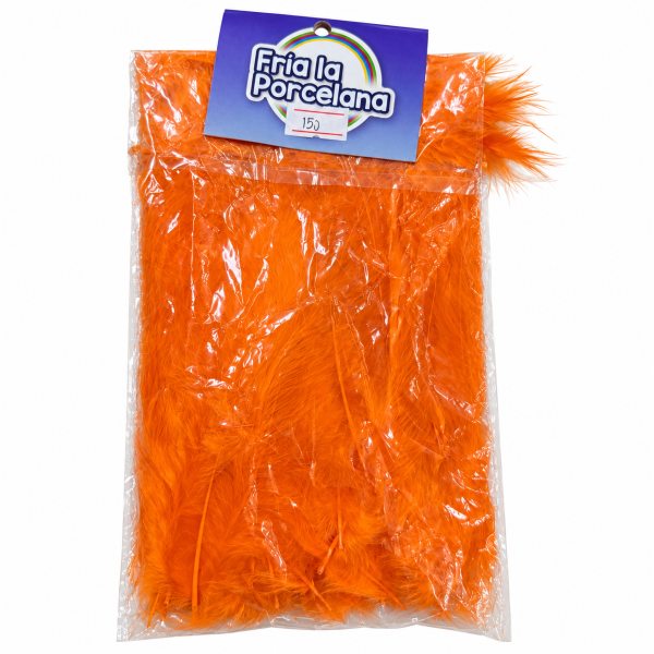 Bolsa de Plumas - Imagen 2
